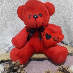 عروسک خرس پولیشی مدل love قرمز 22 سانتی متر