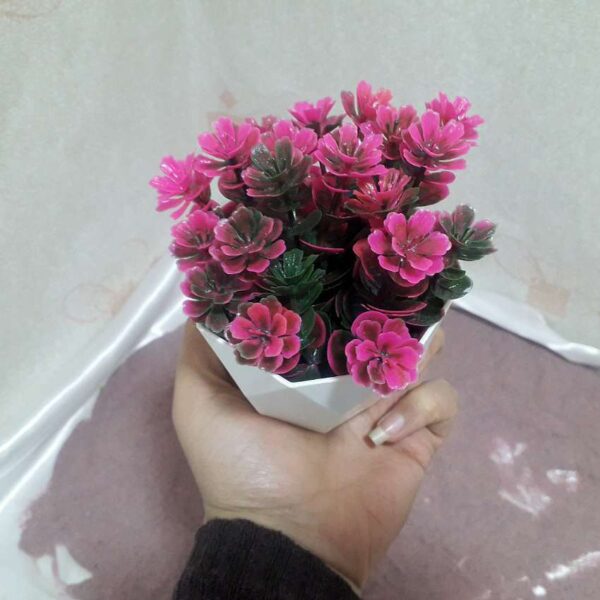 گل شمشاد پلاستیکی به همراه گلدان