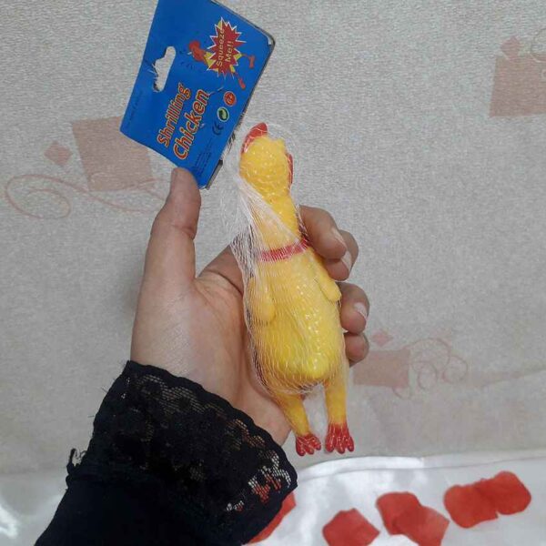 عروسک مرغ نالان
