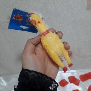 عروسک مرغ نالان