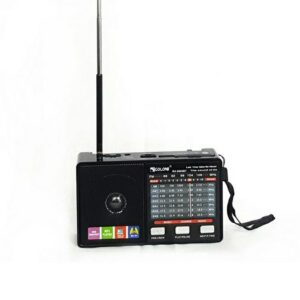 رادیو اسپیکر گولون مدل RX-8866BT